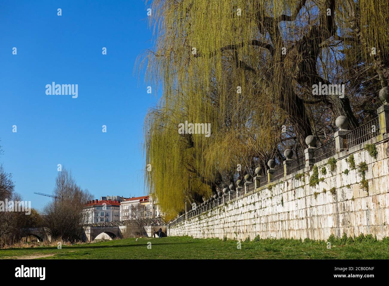 Wall and trees in Burgos - The french Way of `Camino de Santiago` in Winter. Stock Photo